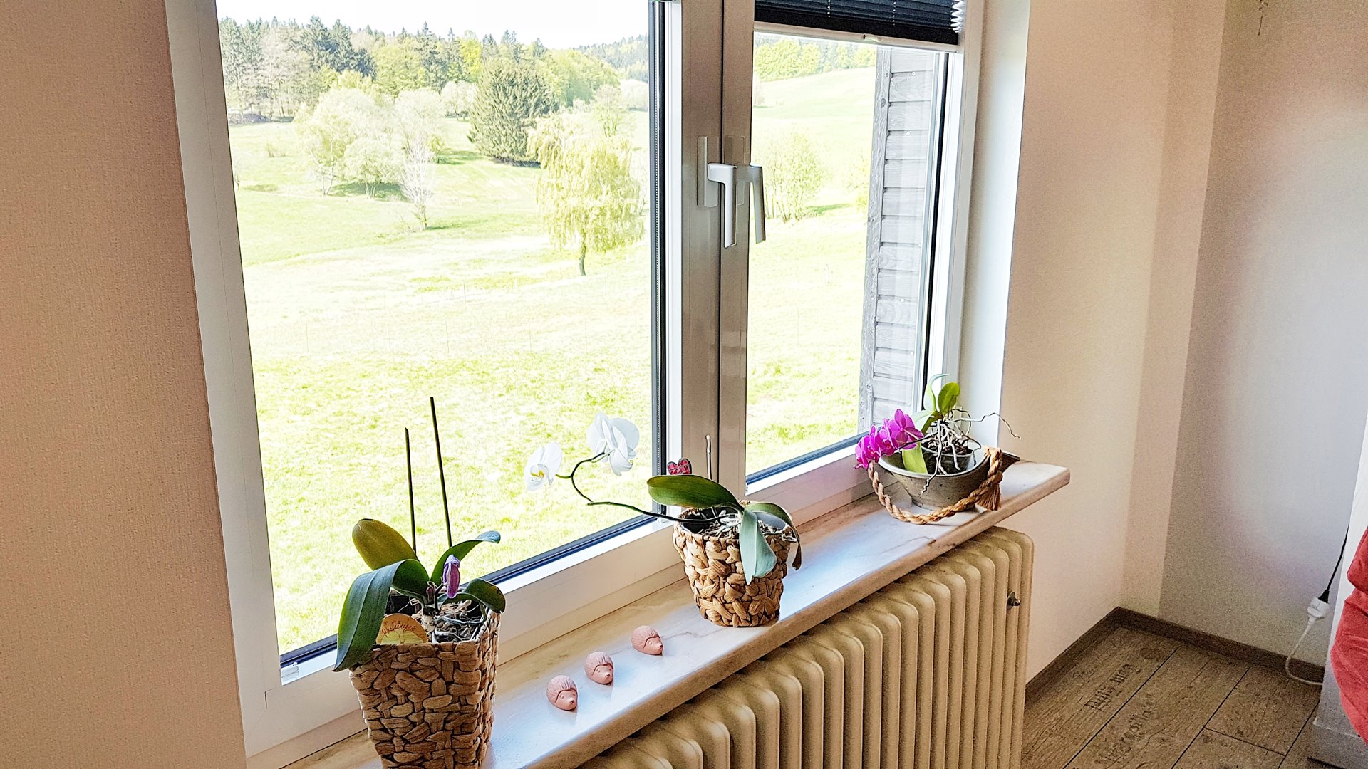 Fewo-Grosser-Finsterberg-10